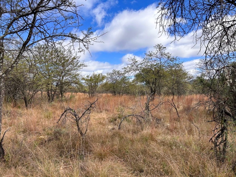 10 Bedroom Property for Sale in Parys Free State